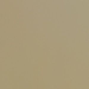 Meet your Posher, Eneshia